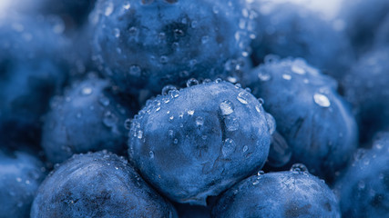 Blaubeeren - Heidelbeeren

