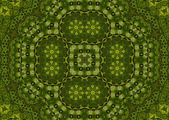 Fractal background
