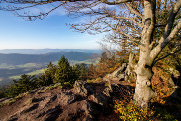 Ausblick Kleiner Riedelstein - Kaitersberg