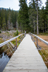 Gro&szlig;er Arbersee 5