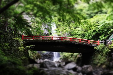 The old bridge over the river in the trees.
