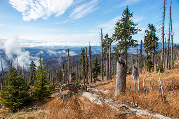 Bayerischer Wald - Wanderung Großer Rachel 3