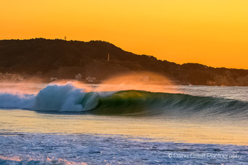 Surfing in Japan a large wave is breaking during a sunrise, land of the rising sun, it is a clean and pretty wave one that surfers from all around the world would like.