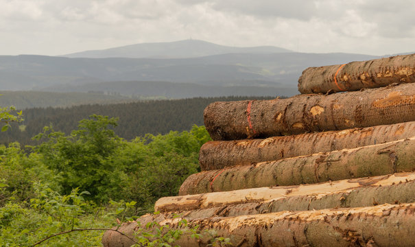 View to the hill Brocken in Harz, Germany with stacked tree trunks in foreground