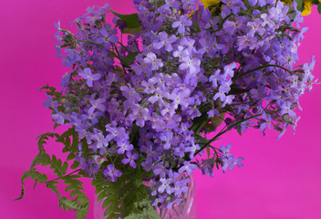 
Bouquet of wildflowers. Bright color substrate. Ability to cut from the background.
