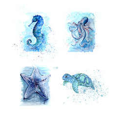 Aquarelle, painting of turtle, star, seahorse, octopus, sketch art pattern illustration
