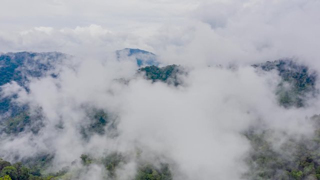 Aerial hyperlapse of clouds forming and moving over a dense tropical rainforest following a recent thunderstorm