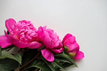 postcard mockup. delicate bouquet of pink peonies and space for text. greeting card. invitation