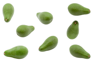 The fruit of a green whole avocado in different angles on a white background.