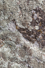 Murs en pierre texture