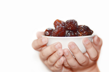 date palm on a white background