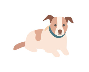 Pedigree dog sitting on floor, portrait view of pet character in collar, domestic animal with brown spotted, canine decoration in flat design style vector