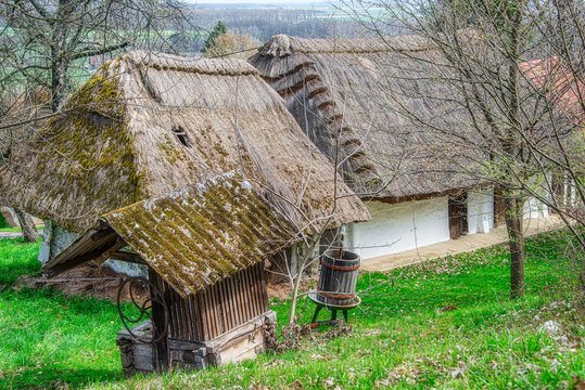 thatched roof, of a wine press house, Heiligenbrunn, Burgenland, Austria