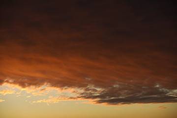 Sky background.Bloody Cumulus clouds illuminated by sunlight on the border of a clear light sky.Stormy landscape at dawn.Russia