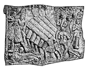 A Testudo, vintage illustration.