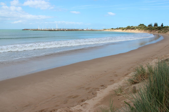 littoral at apollo bay (Great Ocean Road - Australia)