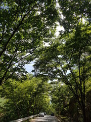 Fototapeta premium 산 