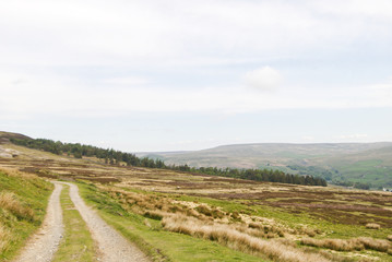 Fototapeta na wymiar a country lane threw the hills of the Yorkshire Dales United Kingdom 