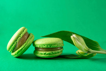 green macaroon with a flower on a green background