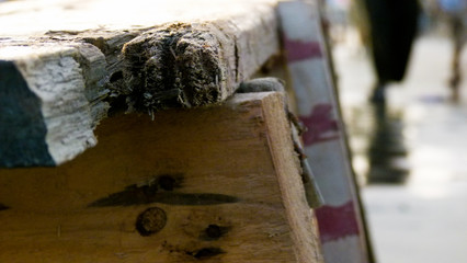 close up of a block of wood and pillars