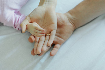 
Dad, mom and baby hold hands. The palms of all family members. Dad and mom hold the handle of a...
