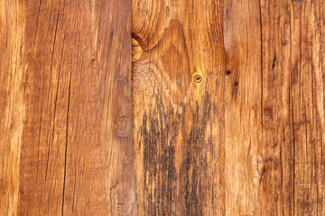 Wood texture. Tree close-up texture background. Wooden floor or table or wall with a natural pattern