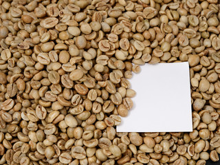raw not roasted coffee beans from africa on a dark background