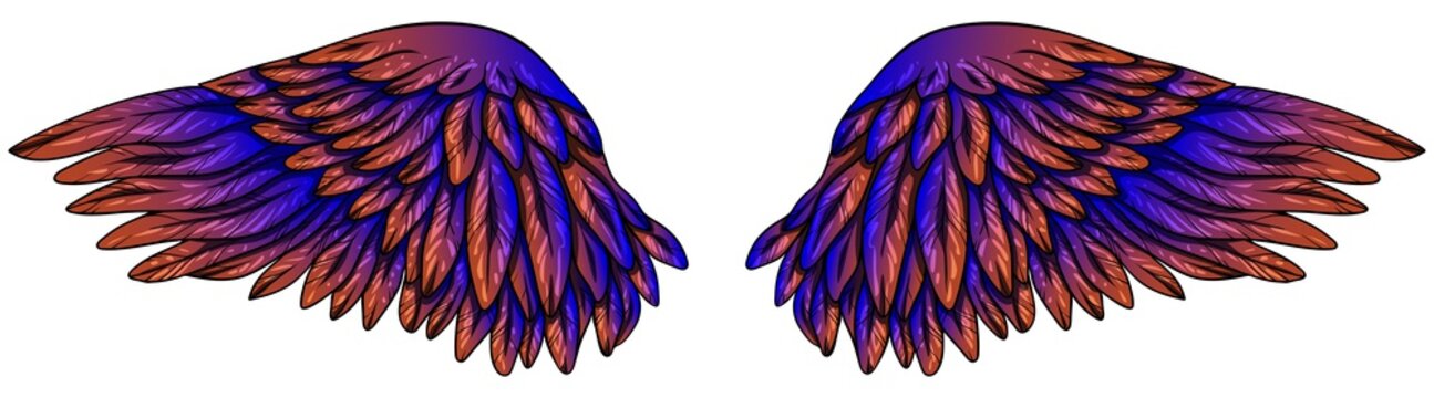 Beautiful glowing electric nlue orange wings, vector