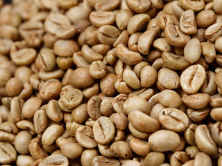 raw not roasted coffee beans from africa on a dark background