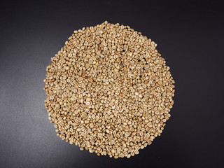 raw not roasted coffee beans from africa on a dark background
