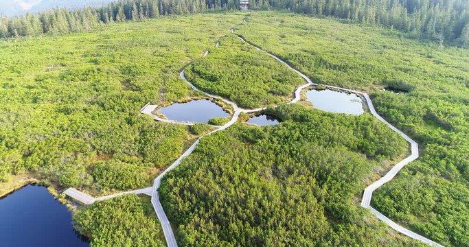 Aerial: Bird's eye view of Lovrenc Lakes or Lovrenska Jezera, a natural habitat for plants and animals in Slovenia.