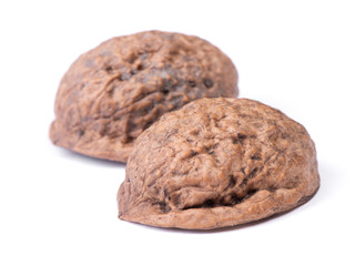 Empty shell of walnut