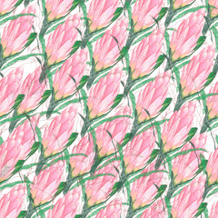 Bright floral print. Delicate pink pattern of protea flower on a white background. Wedding theme. Stylish floral design. Delicate flower arrangement. Watercolor flowers. Print for textiles, cards.