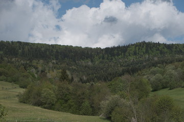 Fototapeta na wymiar Spring forest mountains and sky with clouds. Copy space