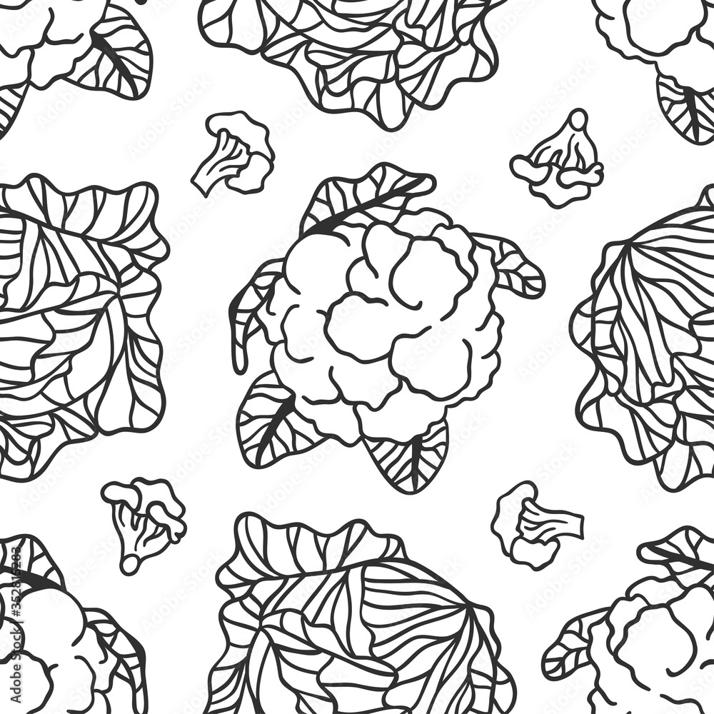 Wall mural doodle cabbage cauliflower. hand drawn stylish fruit and vegetable. vector artistic drawing fresh or