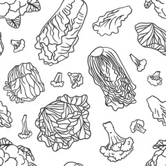 Doodle cabbage cauliflower. Hand drawn stylish fruit and vegetable. Vector artistic drawing fresh organic food. Summer illustration vegan ingrediens for smoothies