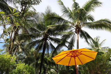 Obraz na płótnie Canvas Tropical vacation, sun umbrella and coconut palm trees on sky background. Summer holidays on paradise nature, beach resort