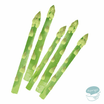 アスパラガス Images Browse 6 410 Stock Photos Vectors And Video Adobe Stock アスパラガス Images Browse 6 410 Stock Photos Vectors And Video Adobe Stock