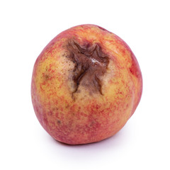 One rotten nectarine