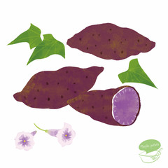 紫芋と花のイラスト
