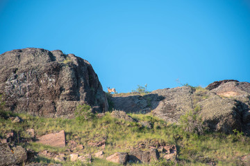 red rocks in the mountains