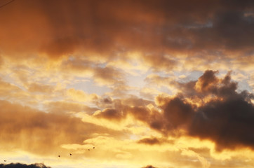 Obraz premium Cloudy sunset sky,photo for typography and design