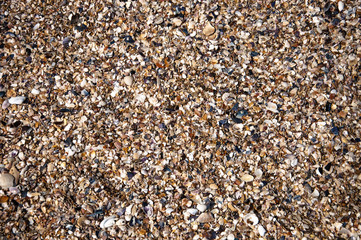 abstract background with sea sand