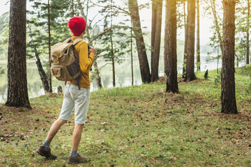 Tourist with a backpack and a red hat is walking in the forest among the trees. Active trekking and unity with nature