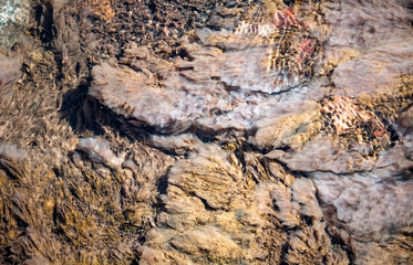 stones and algae under the water surface