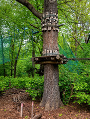 Hochseilgarten im Park Jungfernheide in Berlin