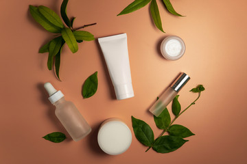 Top down view various set organic facial skincare product set white tube, serum, spray bottle, cream lotion container decoration with branch of plant and leaves on plain orange brown color background