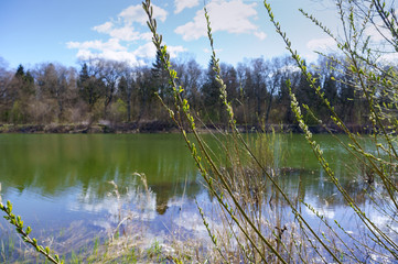 Lake or fishing pond. Landscape a beautiful pond. Forest natural pond.