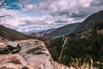une vue artistique des Vosges