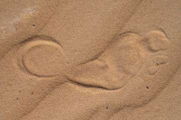 One human footprint on sand in desert
